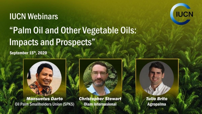 Palm Oil  And Other Vegetable Oils: Impacts And Prospects