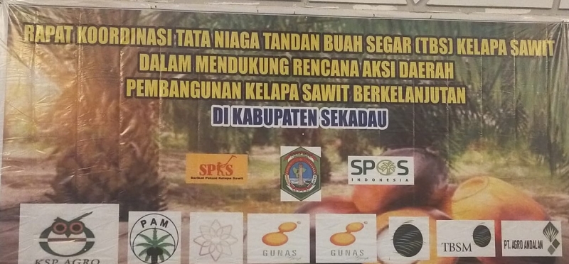 Rapat Koordinasi Tataniaga Tandan Buah Segar (TBS) Kelapa Sawit Dalam Mendukung Rencana Aksi Daerah Pembangunan Sawit Berkelanjutan