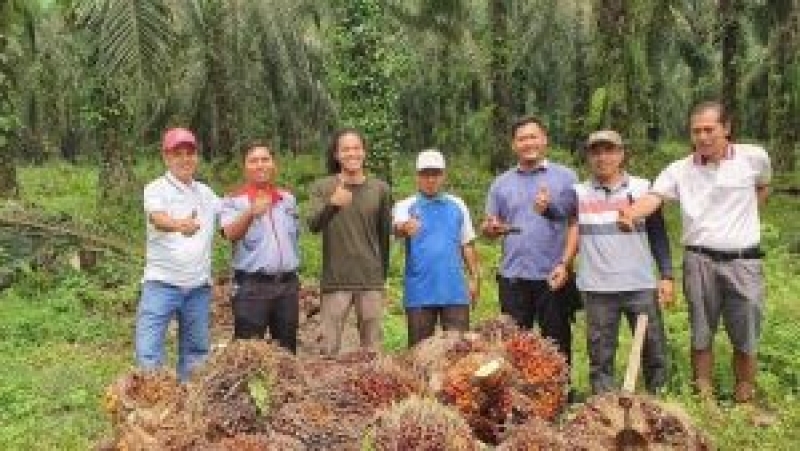 Pelatihan GAP Petani Anggota Koperasi Makmur Belutu Barokah