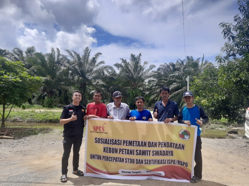 Percepatan STDB Menuju Sertifikasi ISPO/RSPO, SPKS Adakan Sosialisasi dan Pelatihan Pendataan Petani Kelapa Sawit Swadaya di Sulawesi Barat