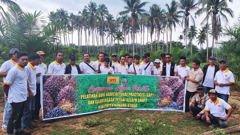 SPKS Perkuat Kapasitas Petani Sawit Swadaya Di Kabupaten Konawe Utara Melalui Pelatihan Good Agricultural Practice (GAP)