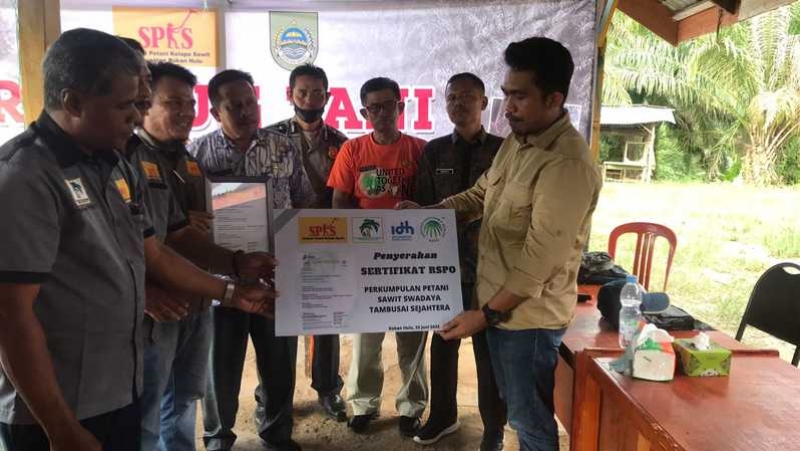 Petani Sawit Swadaya Anggota SPKS di Riau Dapat Sertifikasi RSPO