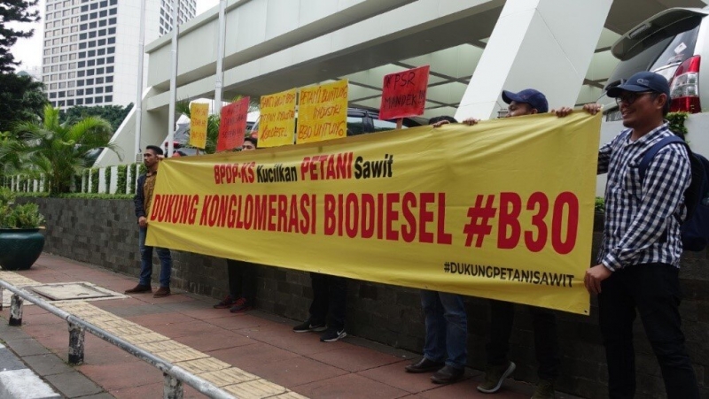 Biodiesel Jadi Prioritas, Petani Keluhkan Alokasi Minim Dana Sawit