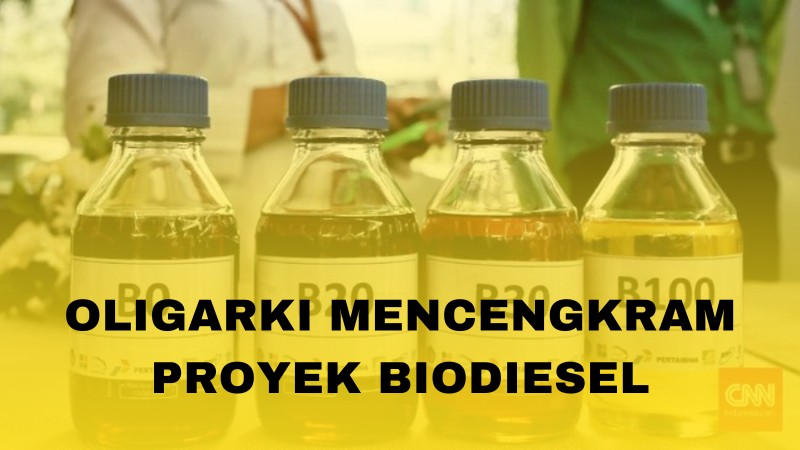 Oligarki Mencengkram Proyek Biodiesel