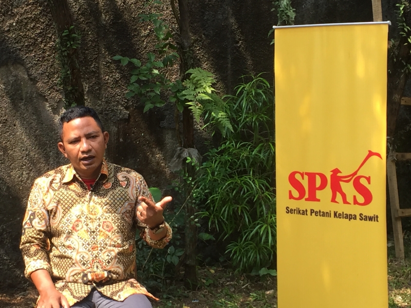 4 Juta Hektar Lahan Kelapa Sawit di Indonesia Belum Bersertifikat