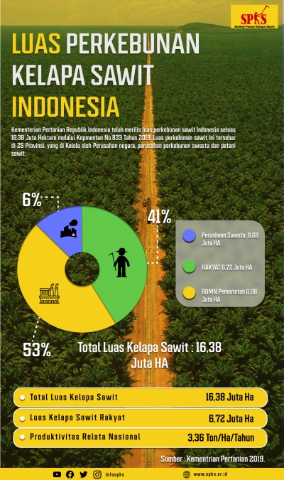 Luas Areal Perkebunan Sawit Di Indonesia Capai 16,38 Juta Hektare