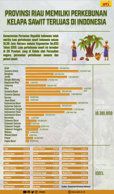 Provinsi Riau Memiliki Perkebunan Kelapa Sawit Terluas di Indonesia