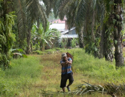 Serikat Petani Kelapa Sawit (SPKS) Berkomitmen Terhadap NDPE dan Konservasi Hutan.
